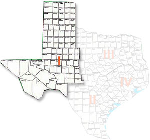 AIPG-TX District I Map